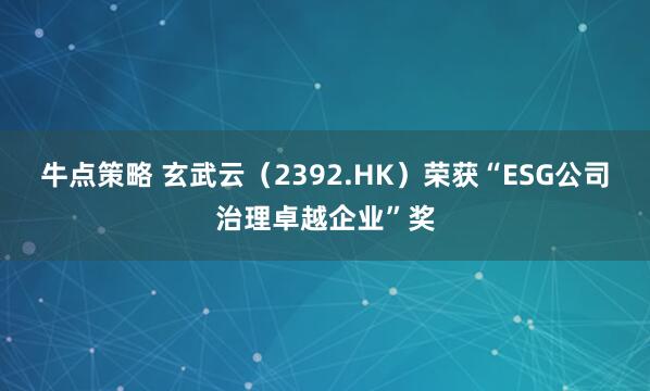 牛点策略 玄武云（2392.HK）荣获“ESG公司治理卓越企业”奖